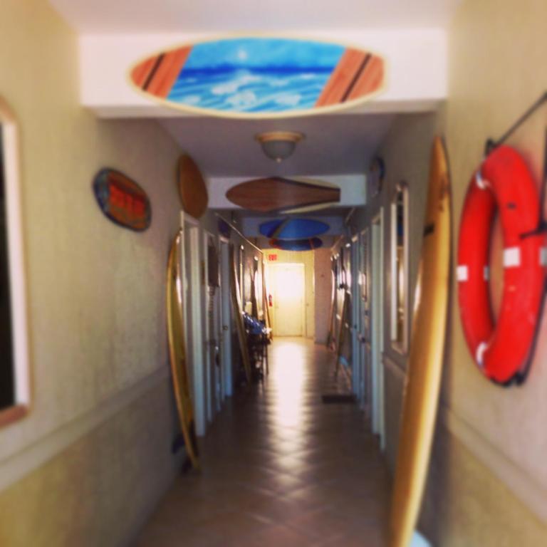 Surf Inn Hotel Hollywood Oda fotoğraf